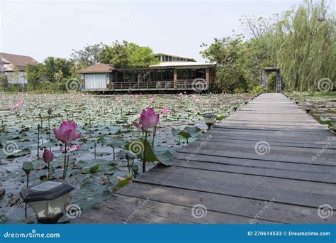  De Lotusvijver - Een Bezwerende Beeldenstorm van Geschilderde Stilte en Meditatieve Harmonie!